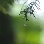 Buon Lam Gi Nguyen Si kha • Rainy Day Memories • 2023