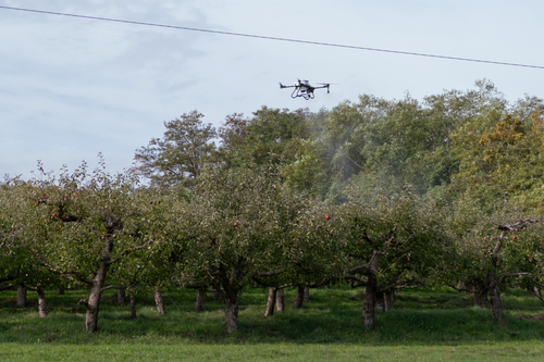 5 tasks an innovation drone can perform